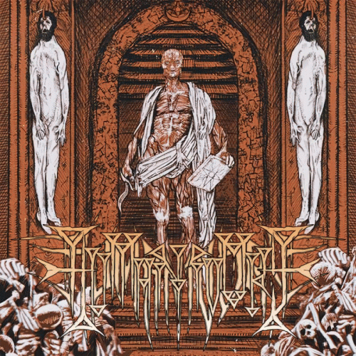 Human Ivory : Special Leather